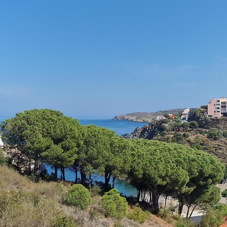Appartement Avec Terrasse, Wifi, Parking Prive, A 2Min De La Plage Des Elmes - Banyuls-Sur-Mer - Fr-1-309-130 Exterior foto